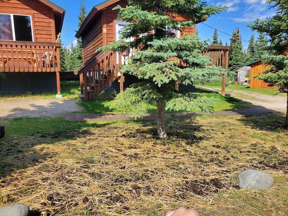 DENALI'S ALASKAN SPRUCE CABINS