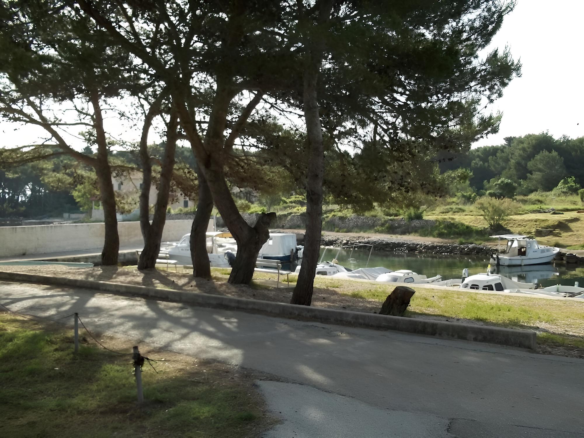 Photo 6