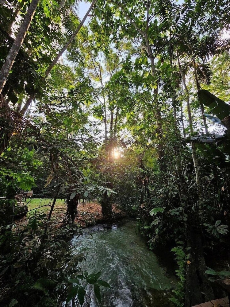 JARDIM DA AMAZONIA LODGE