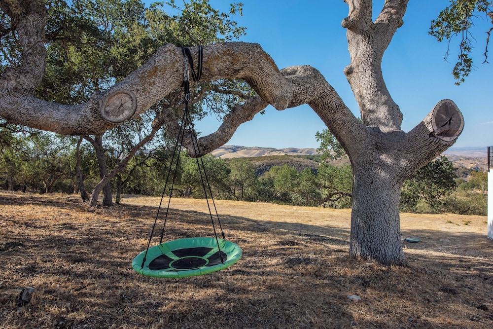Blue Oak Oasis