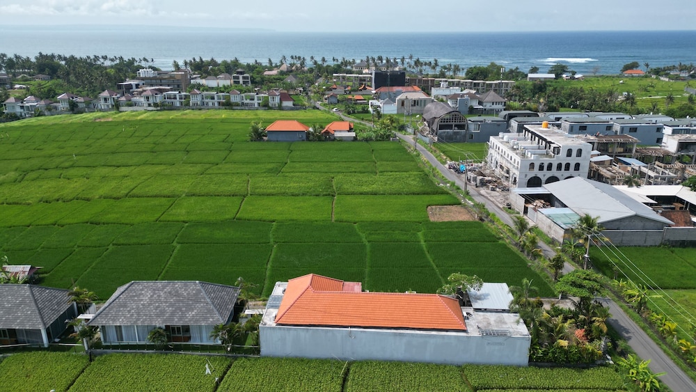 Villa Clove Cemagi view 2