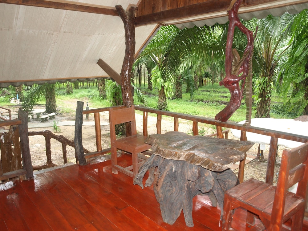 Khaosok Palmview