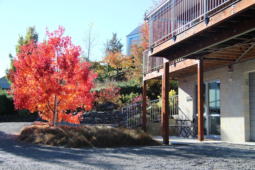 Apartment at Mapleview view 4