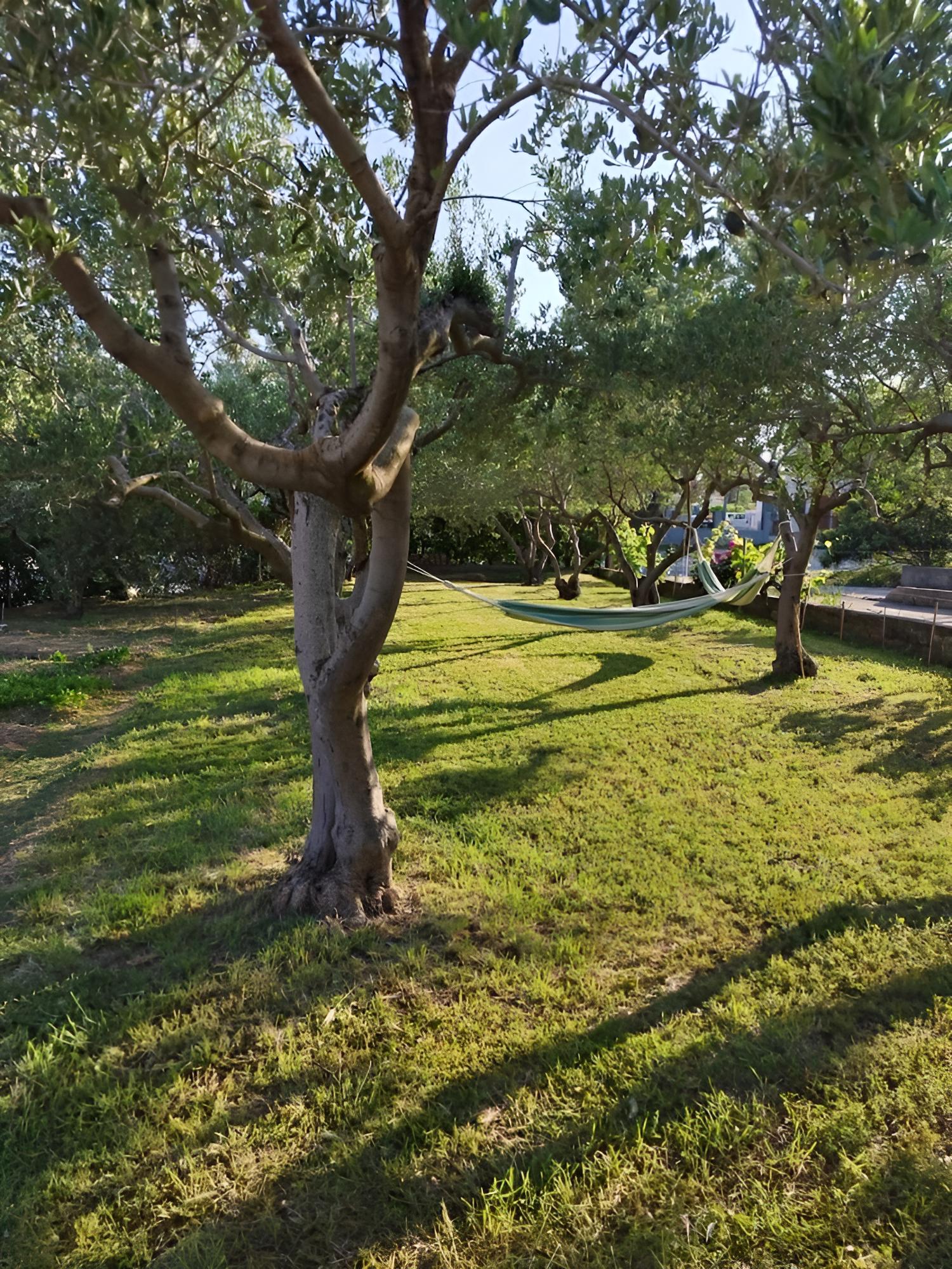 Slava - Private Parking - A1 view 5