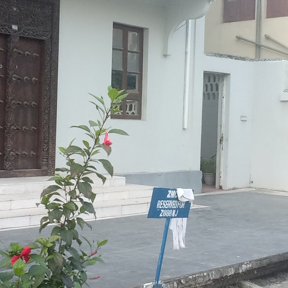 Daddy cool apartment