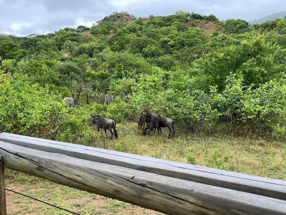 Syeta Bush Lodge