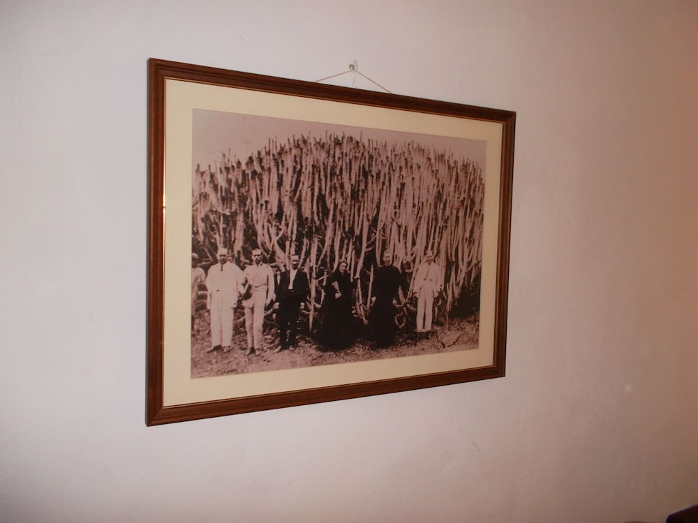 House El Cardón B2 in Buenavista del Norte