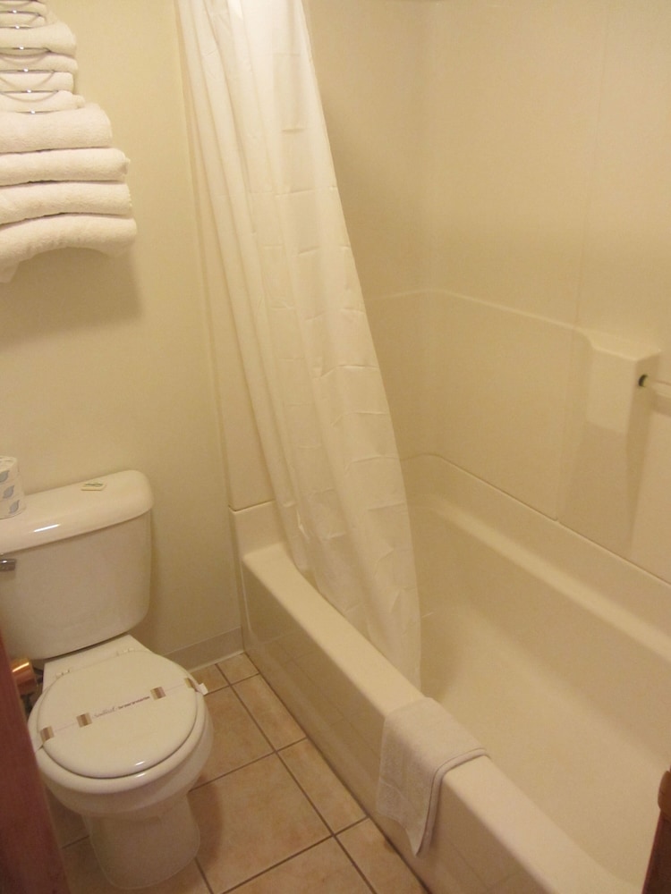 Photo 51