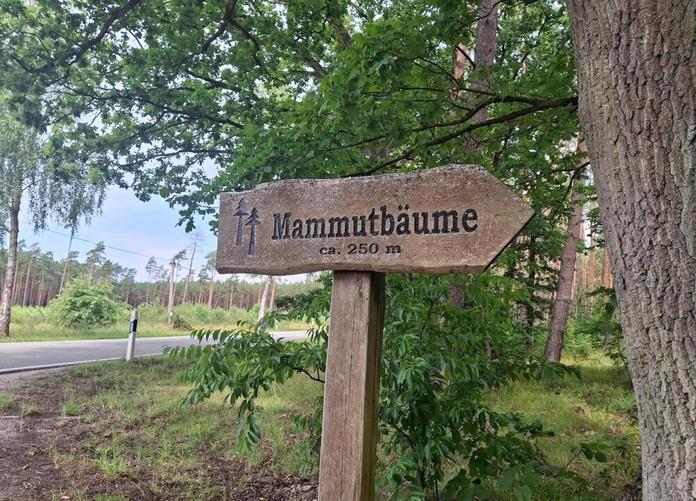 Chalet Near Schwerin With Golf & Castle Views