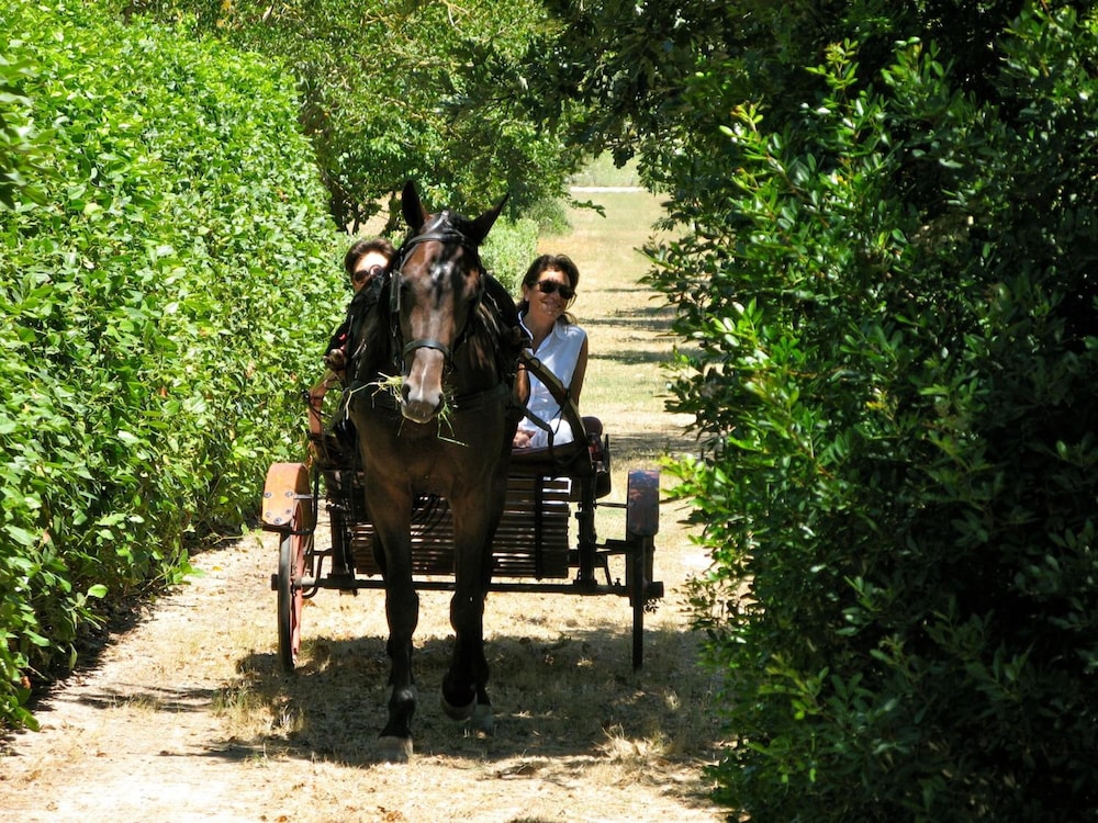 Tenuta Sant'Andrea