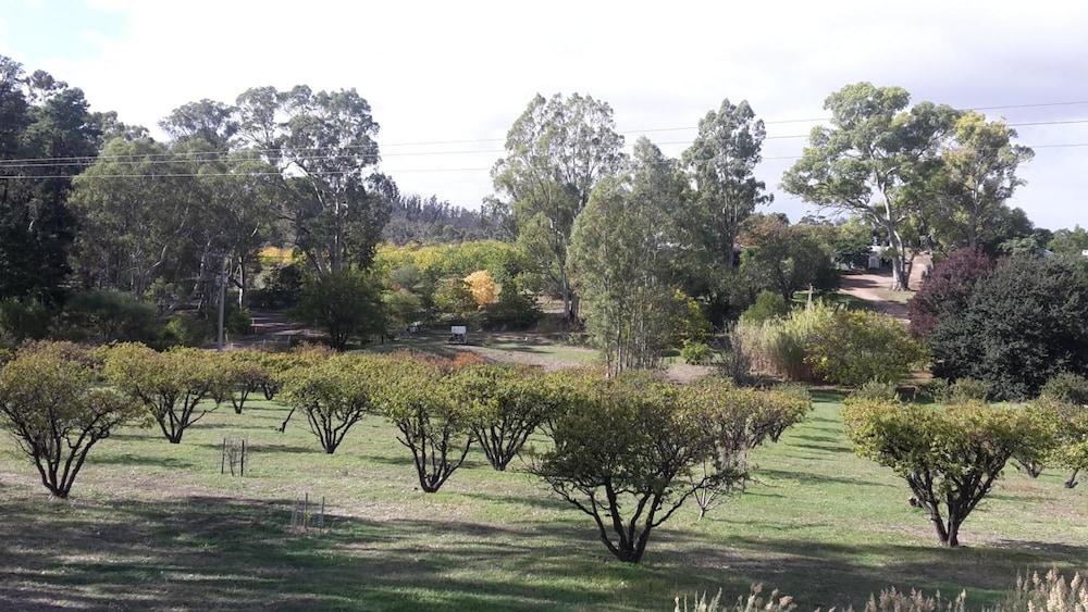 Taralee Orchards