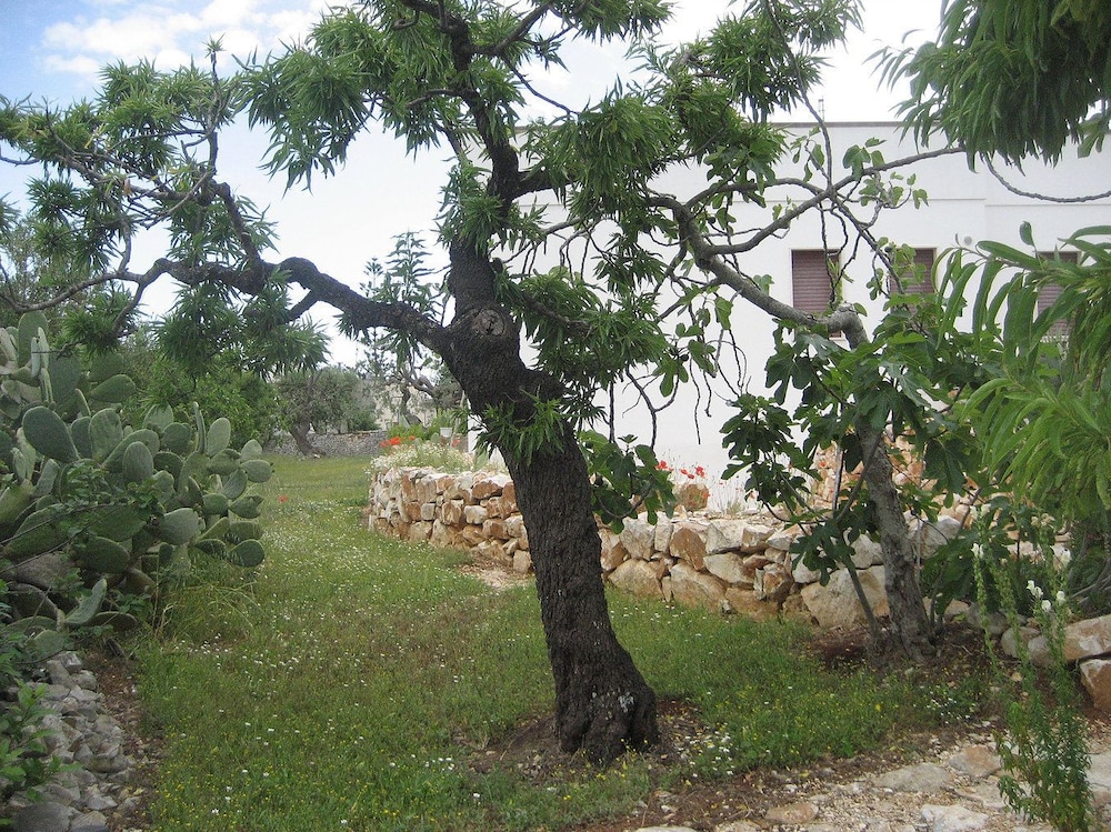 Photo 28
