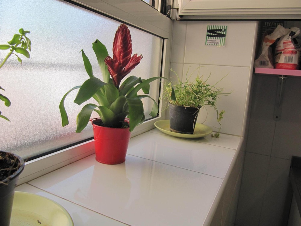Mellow Hostel Barcelona