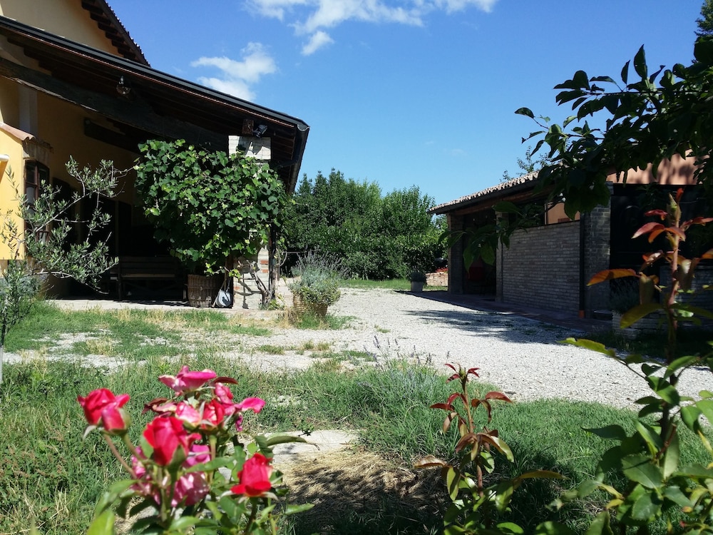 Photo 41