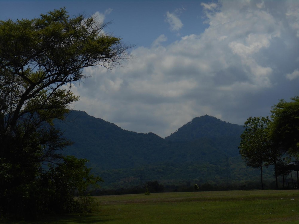 The Local Menjangan