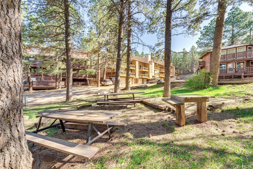 Bike, Fish, Hike & Ski: Angel Fire Condo!