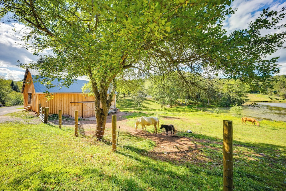 Waterfront New Albany Retreat w/ Therapy Animals