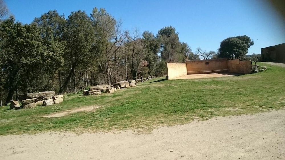 Photo 7