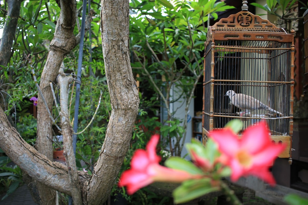 Simon Homestay