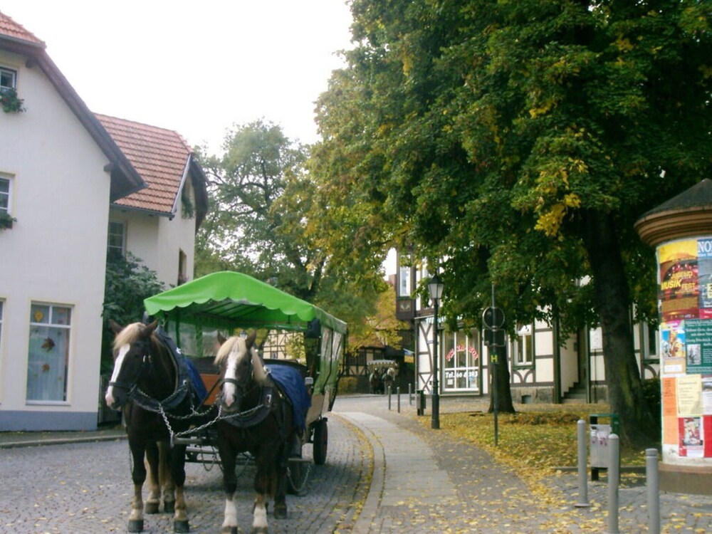 Harz Enjoyment Modern Retreat