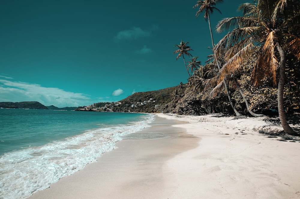 Bequia Beach Hotel Luxury Resort & Spa - Photo 71