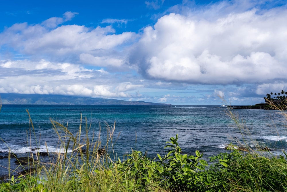 Napili Shores A106 0 Bedroom Condo by RedAwning