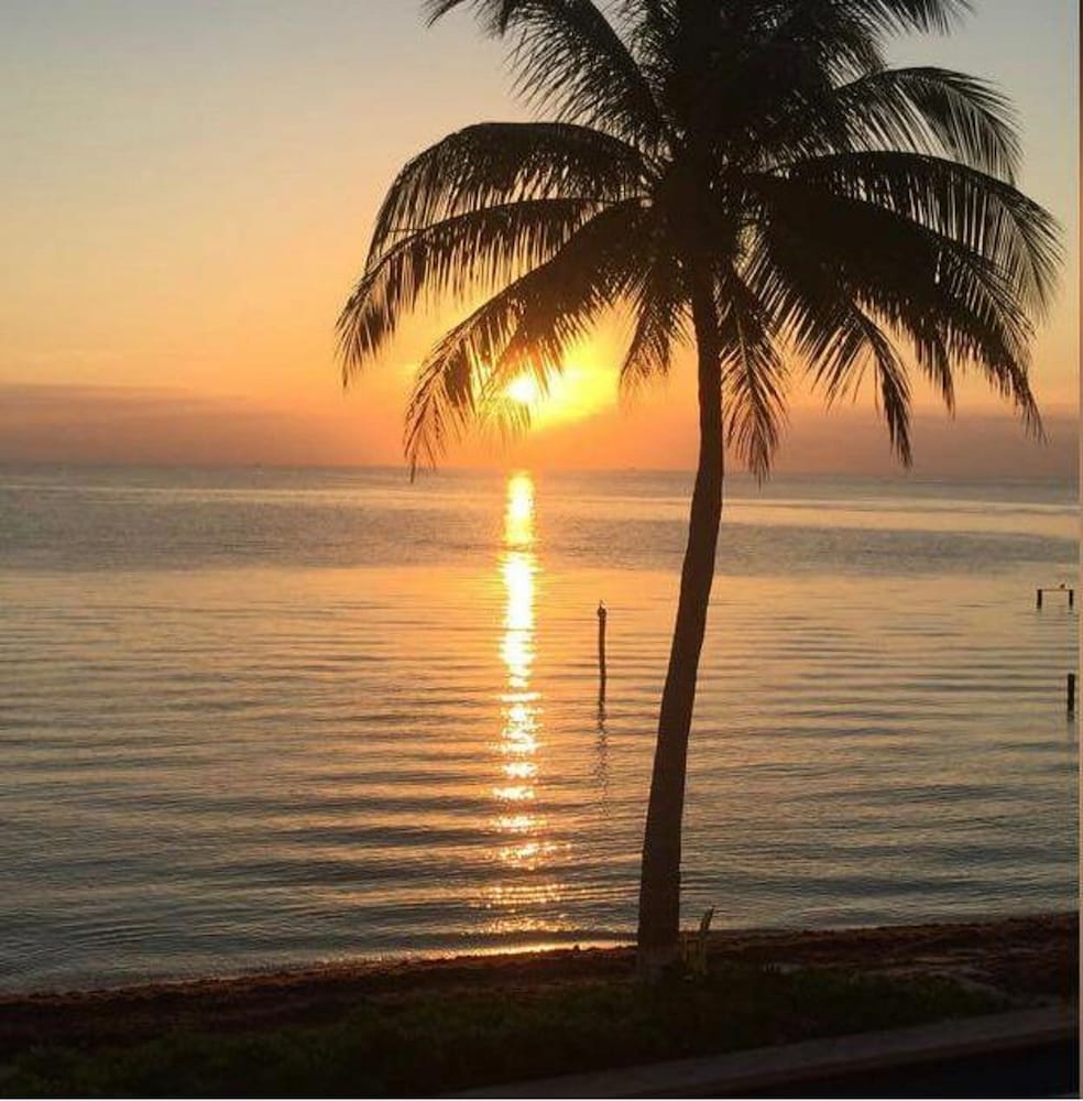 Flamingo Beach Plus