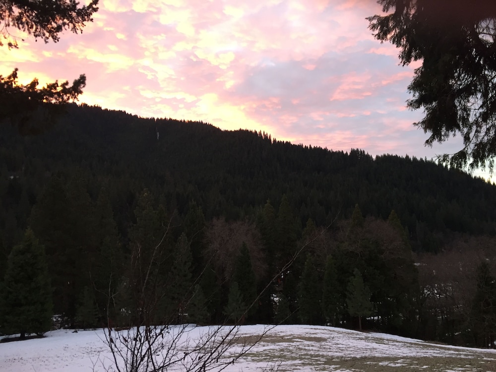 Dunsmuir Lodge