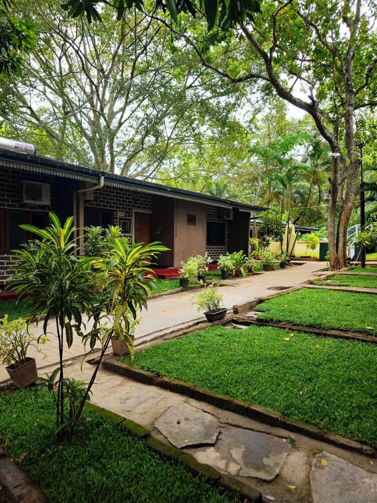 Udawalawe Safari VIllage By Plateeno