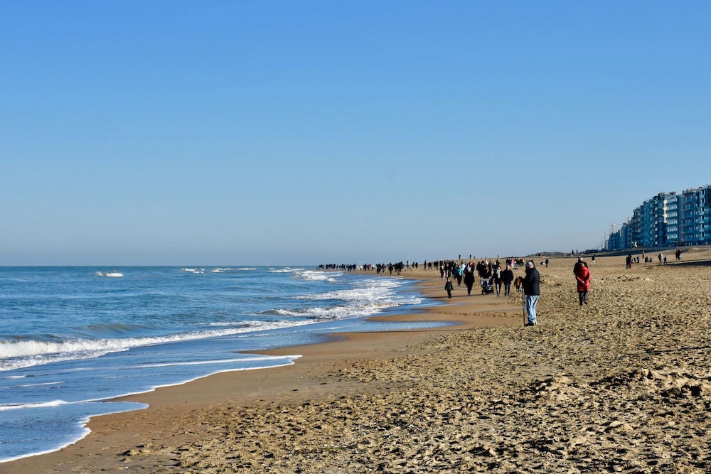 Seashore