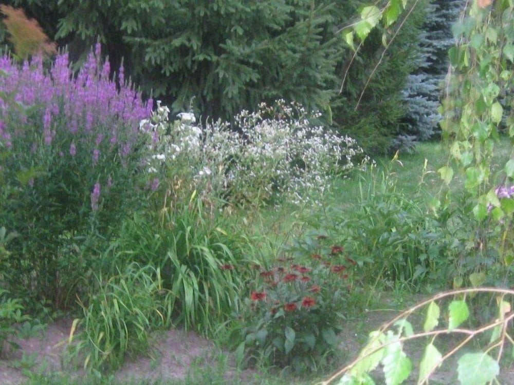Le Passerin Indigo Gîte du passant