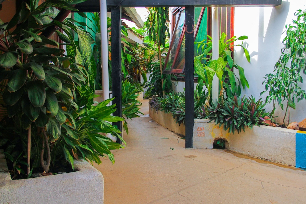 Pura Vida Hostel