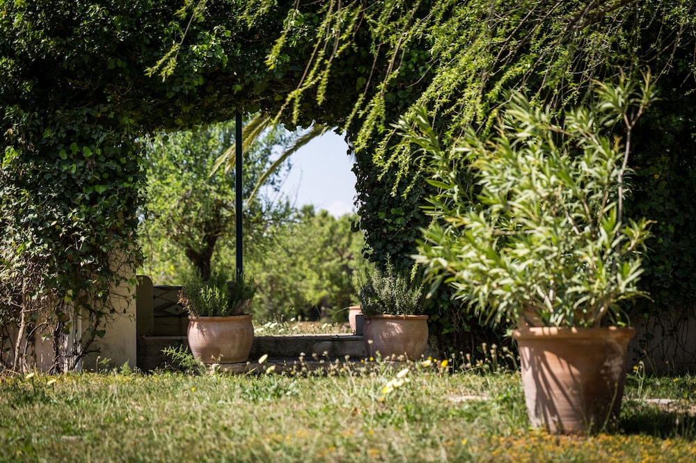 Finca Son Miranda