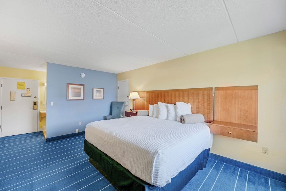 Alexandria Vacations - Relax Inn - Property Image 5