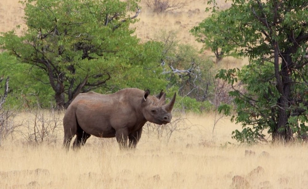 Grootberg Lodge