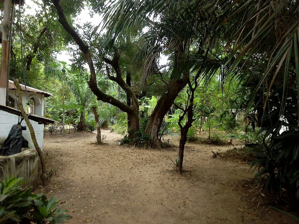 Photo 8