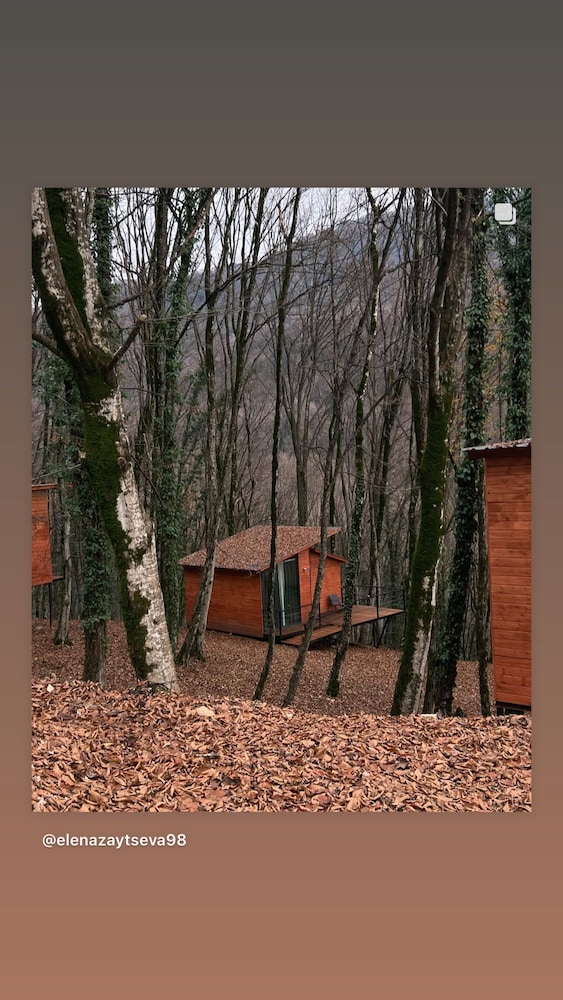 Eco village in the forest
