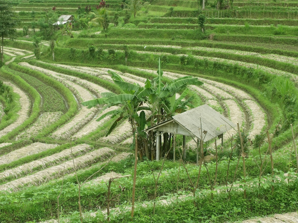 Darmada Eco Resort