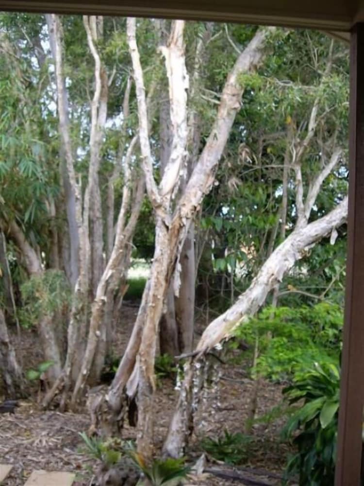 Urangan Vacations - Barooga On Pier - Property Image 4