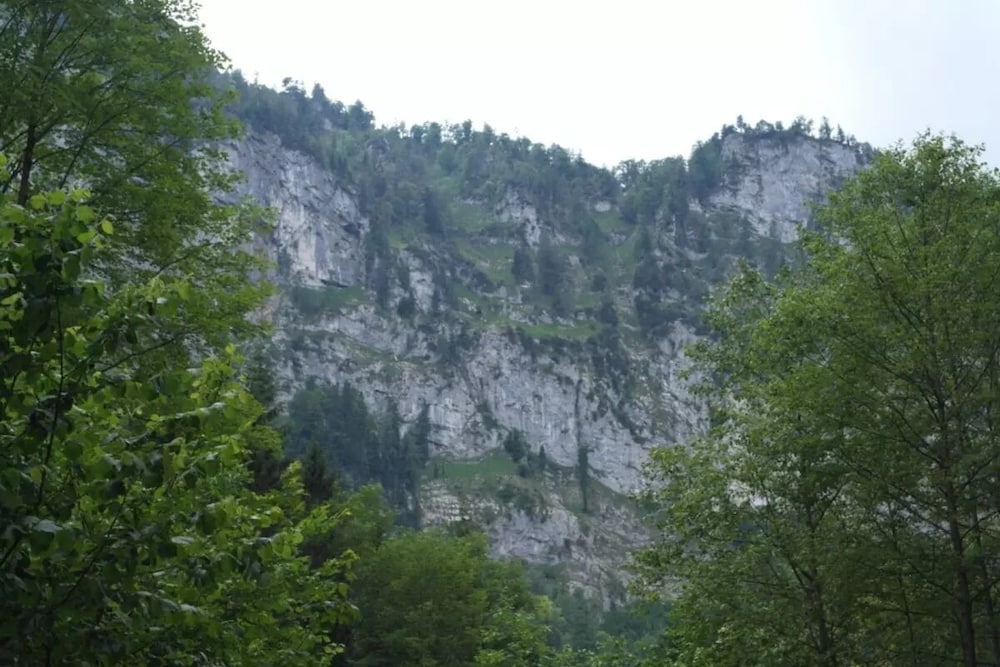 Roithhof view 2