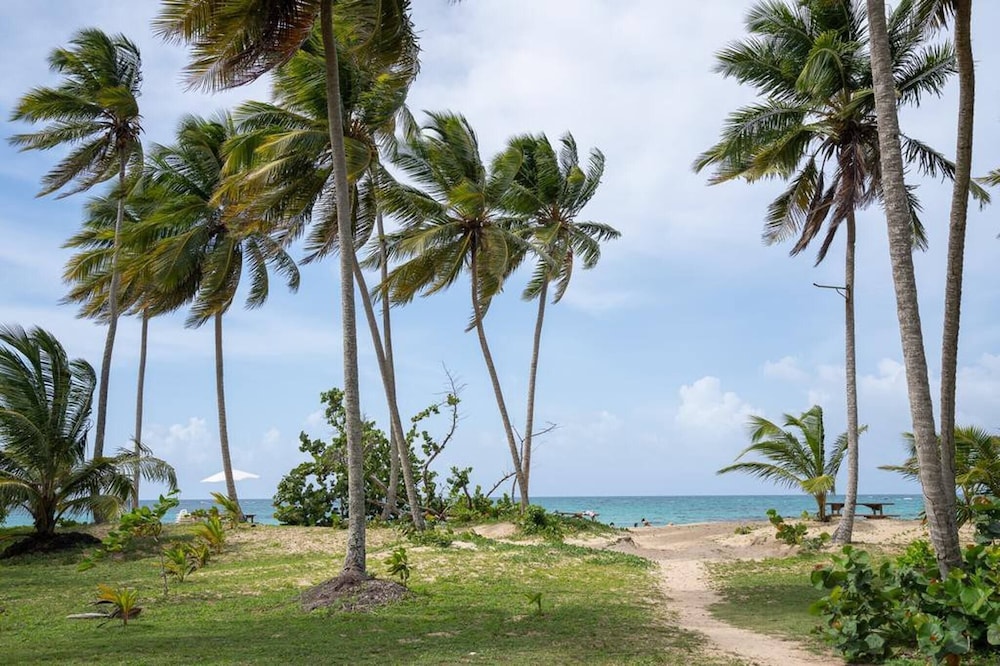 Villa Joyosa- Las Terrenas Beachfront Villa