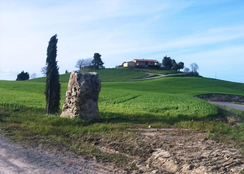 Photo 49