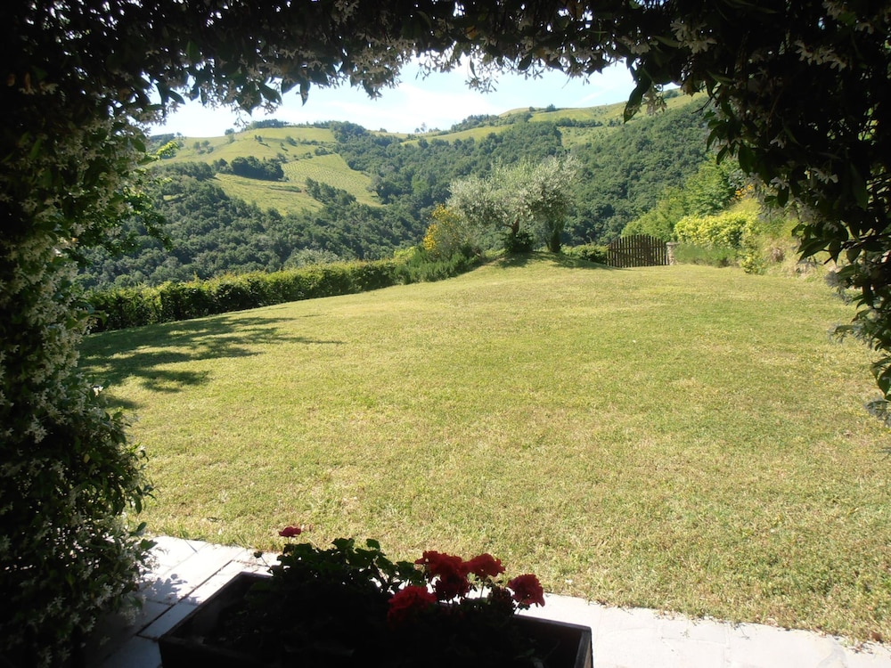 Photo 29