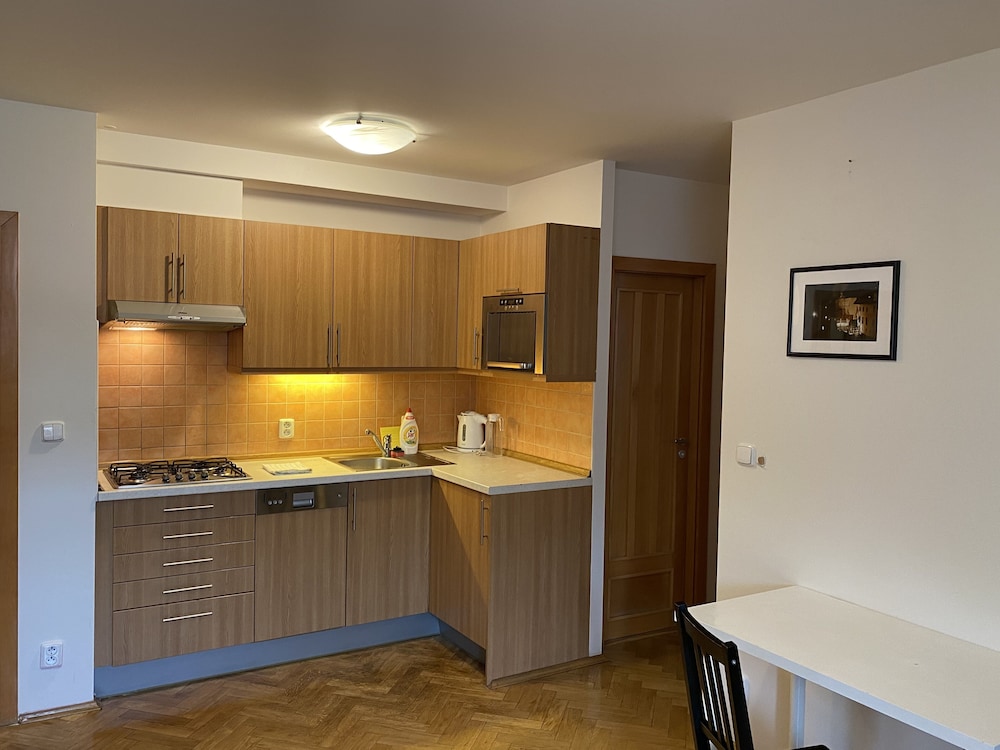 Beautiful Apartment Near Florenc Area of Prague