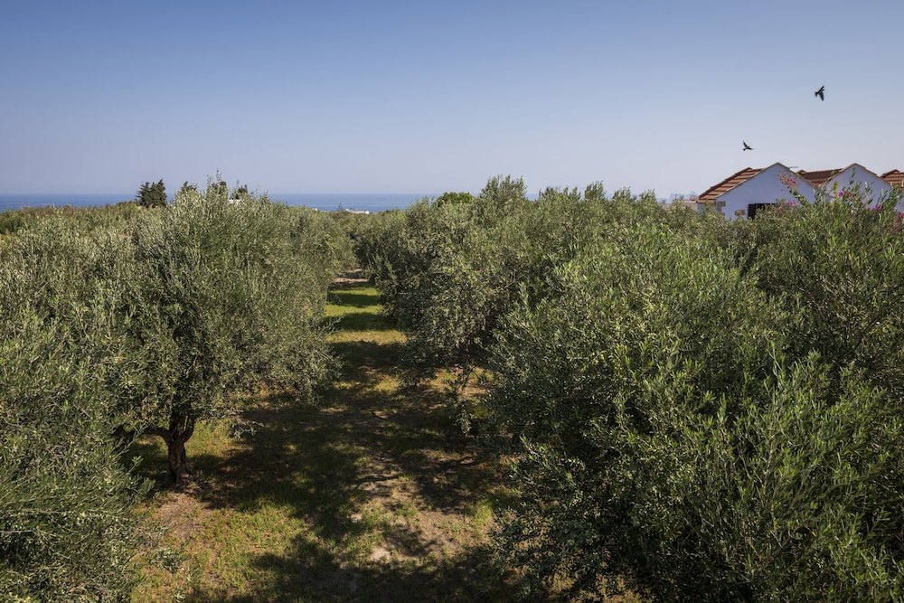Orionas Village
