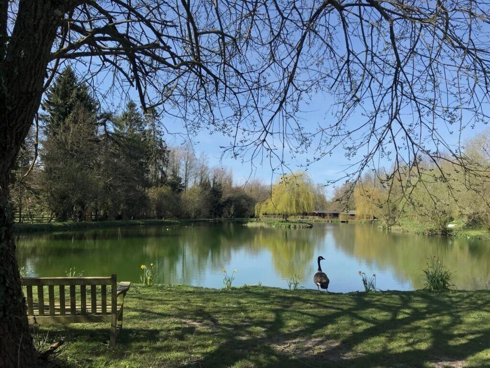 Willowbank Lodges