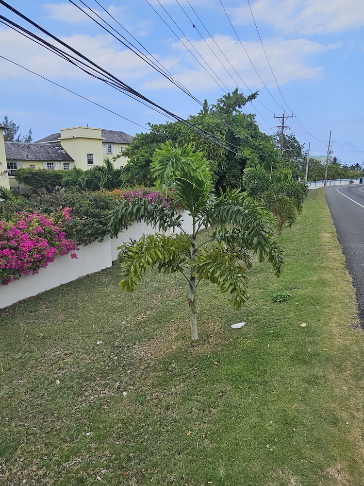 Photo 44