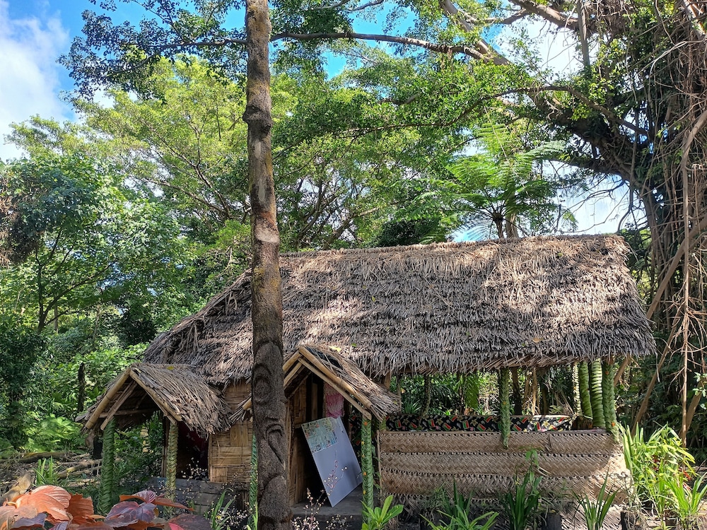 Glowing view tree house and Bangalow