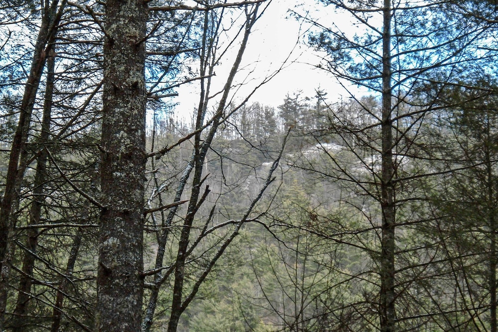 Highlands Cabin w/ Forest Views < 4 Mi to Cashiers