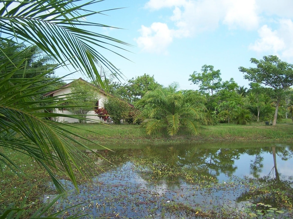 Photo 13